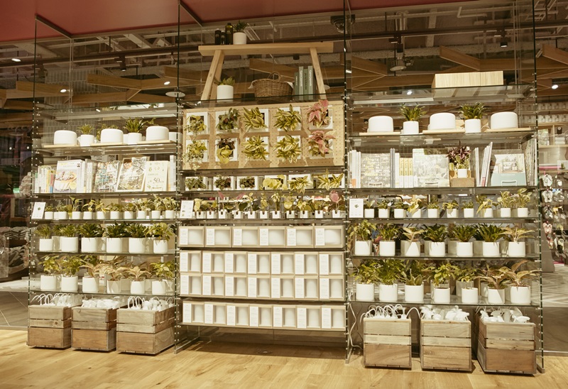 對比今日台中城市的發展樣貌，提出「素」作為旗艦店開幕概念，藉以強調MUJI無印良品希望藉由簡約自然的商品設計、如水一般的存在，帶給台中生活者「回歸原點、思考未來」的好感生活提案。