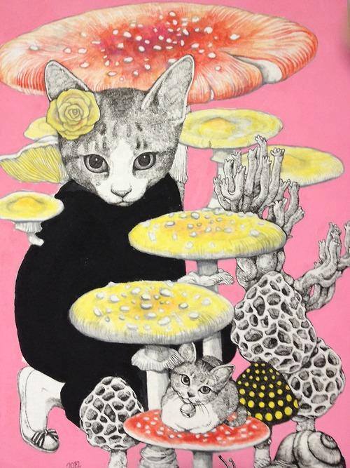 樋口裕子(Higuchi Yuko) 貓咪作品