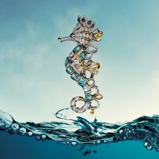 探祕海底世界，Tiffany & Co.《瑰海奇珍》...