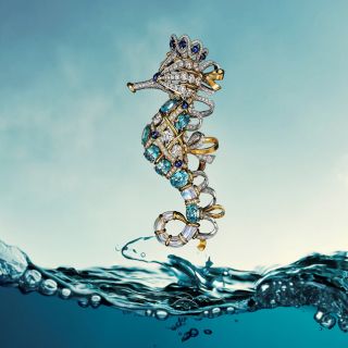 探祕海底世界，Tiffany & Co.《瑰海奇珍》高級珠寶，以虹彩斑斕之姿，徜徉海洋異想